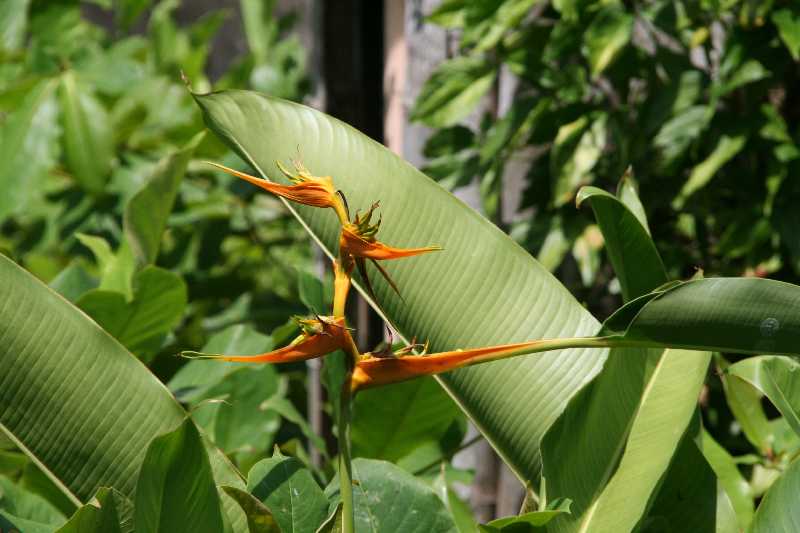 Mexico & Guatemala 2010 - 0998